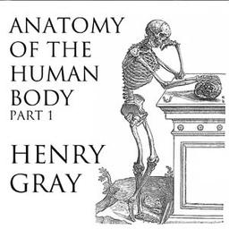 Anatomy of the Human Body, Part 1 (Gray's Anatomy)  by Henry Gray cover