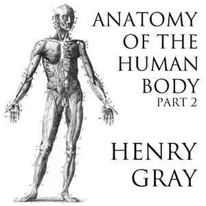 Anatomy of the Human Body, Part 2 (Gray's Anatomy) cover