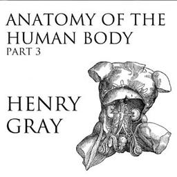 Anatomy of the Human Body, Part 3 (Gray's Anatomy) cover