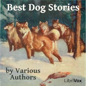 Best Dog Stories cover