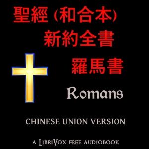聖經 (和合本) 新約：羅馬書 (Romans) cover