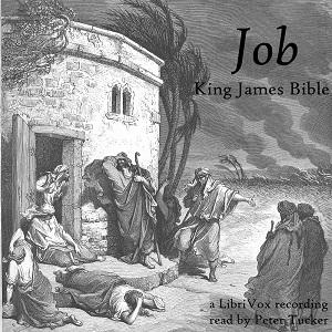 Bible (KJV) 18: Job (version 2) cover