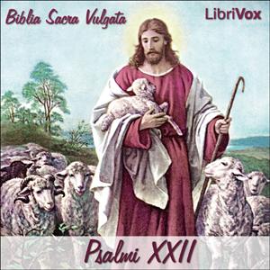 Bible (Biblia Sacra Vulgata) 19: Psalmi XXII cover