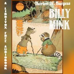 Billy Mink cover