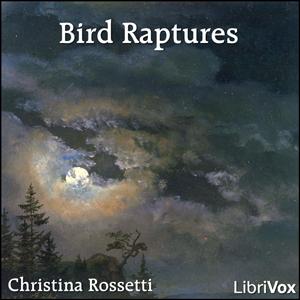 Bird Raptures cover