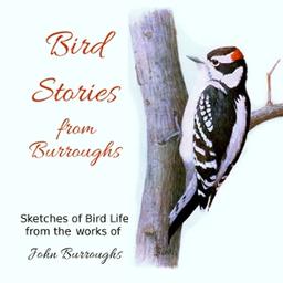 Bird Stories from Burroughs  by John Burroughs cover