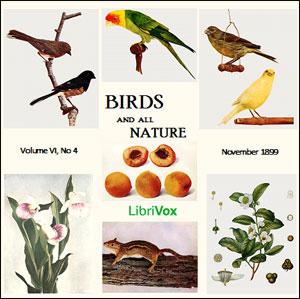 Birds and All Nature, Vol. VI, No 4, November 1899 cover