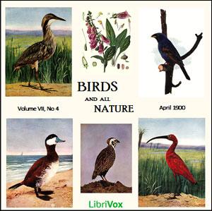 Birds and All Nature, Vol. VII, No 4, April 1900 cover