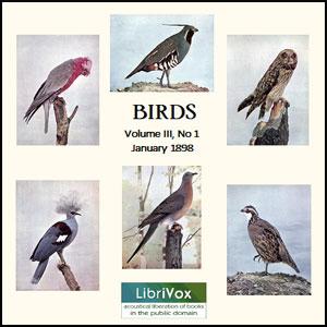 Birds, Vol. III, No 1, January 1898 cover