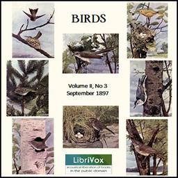 Birds, Vol. II, No 3, September  1897 cover