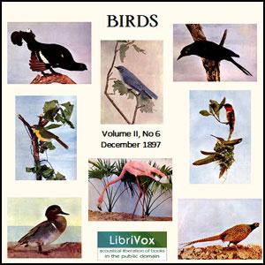 Birds, Vol. II, No 6, December 1897 cover
