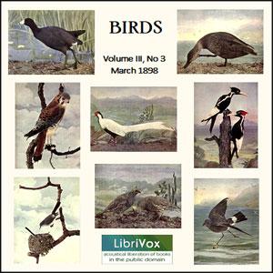 Birds, Vol. III, No 3, March 1898 cover