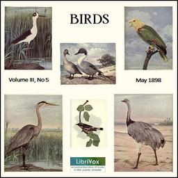 Birds, Vol. III, No 5, May 1898 cover
