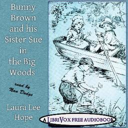 Bunny Brown and His Sister Sue in the Big Woods cover