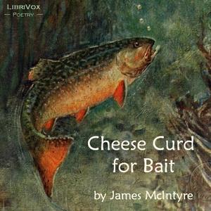Cheese Curd for Bait cover