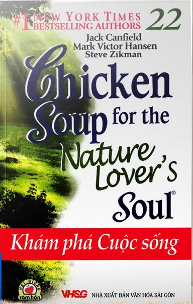 Chicken soup for soul tập 22 Khám phá cuộc sống cover