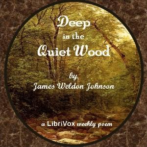 Deep In The Quiet Wood cover