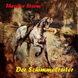 Schimmelreiter  by Theodor Storm cover
