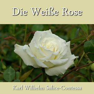 Weiße Rose cover