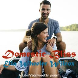 Domestic Bliss cover
