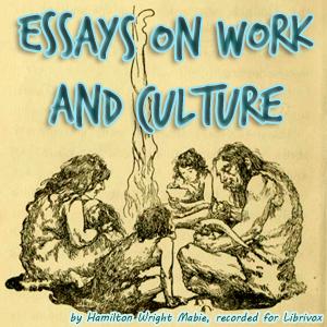 Essays on Work and Culture cover