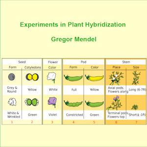 Experiments in Plant Hybridisation cover