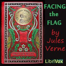 Facing the Flag cover