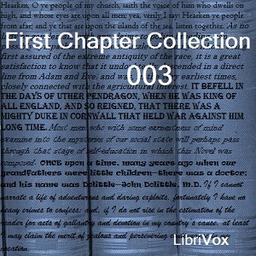 First Chapter Collection 003  by  Various cover