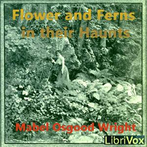Flowers and Ferns in their Haunts cover