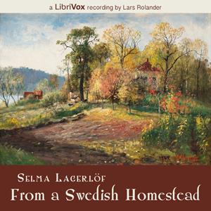 From a Swedish Homestead cover