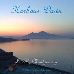 Harbour Dawn cover