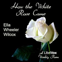 How The White Rose Came cover