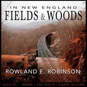 In New England Fields and Woods cover