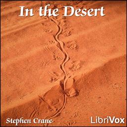 In the Desert cover