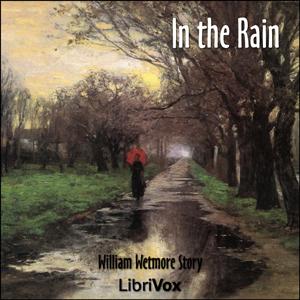 In the Rain cover