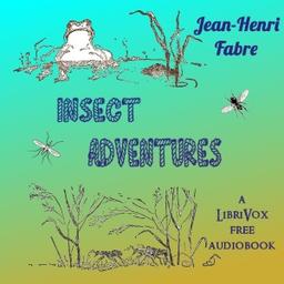 Insect Adventures cover