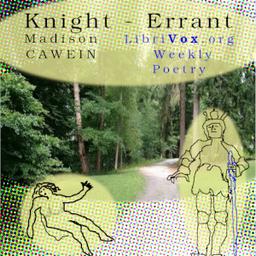 Knight - Errant cover