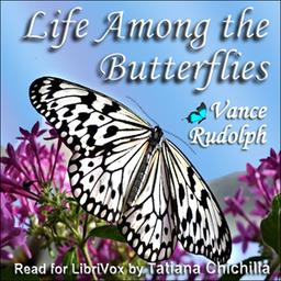 Life Among the Butterflies cover