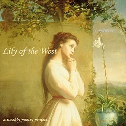 Lily Of The West  by  Anonymous cover