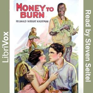 Money to Burn, An Adventure Story cover