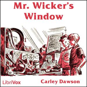 Mr. Wicker's Window cover