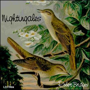 Nightingales cover