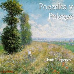 Poezdka v Polesye cover