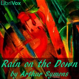 Rain On The Down cover