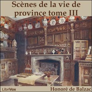 Comédie Humaine: 07 - Scènes de la vie de province tome 3 (8-9-44) cover
