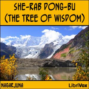 She-rab Dong-bu (The Tree of Wisdom) cover