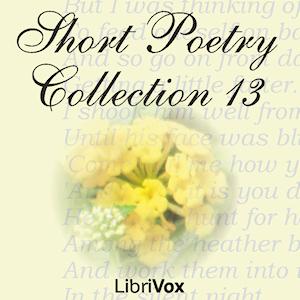 Short Poetry Collection 013 cover