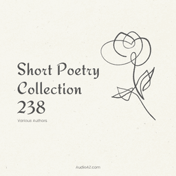 Short Poetry Collection 238 cover