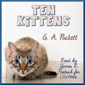 Ten Kittens cover