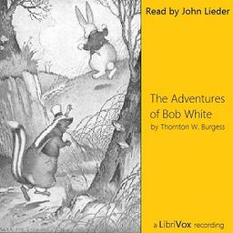 Adventures of Bob White cover